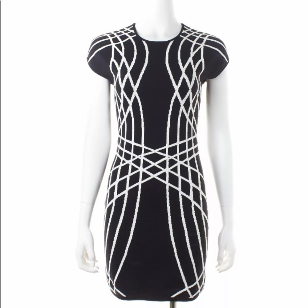 PARKER Bodycon Dress